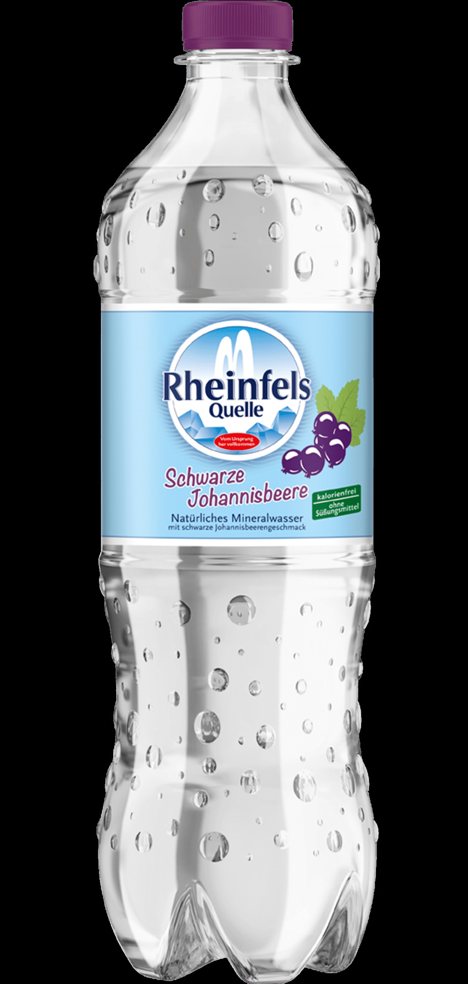 Eine Flasche Schwarze Johannisbeere in 0,75 L PET Einweg
